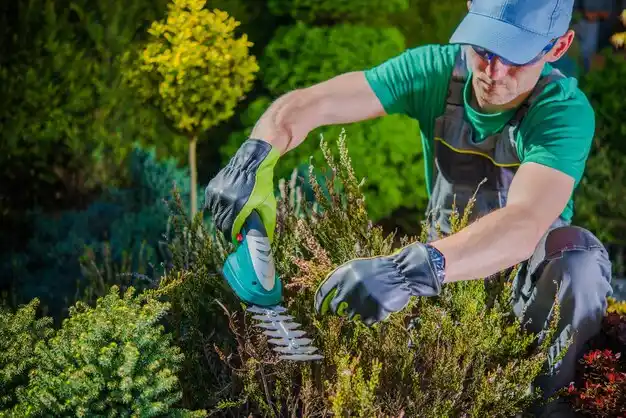 landscaping services Poughkeepsie